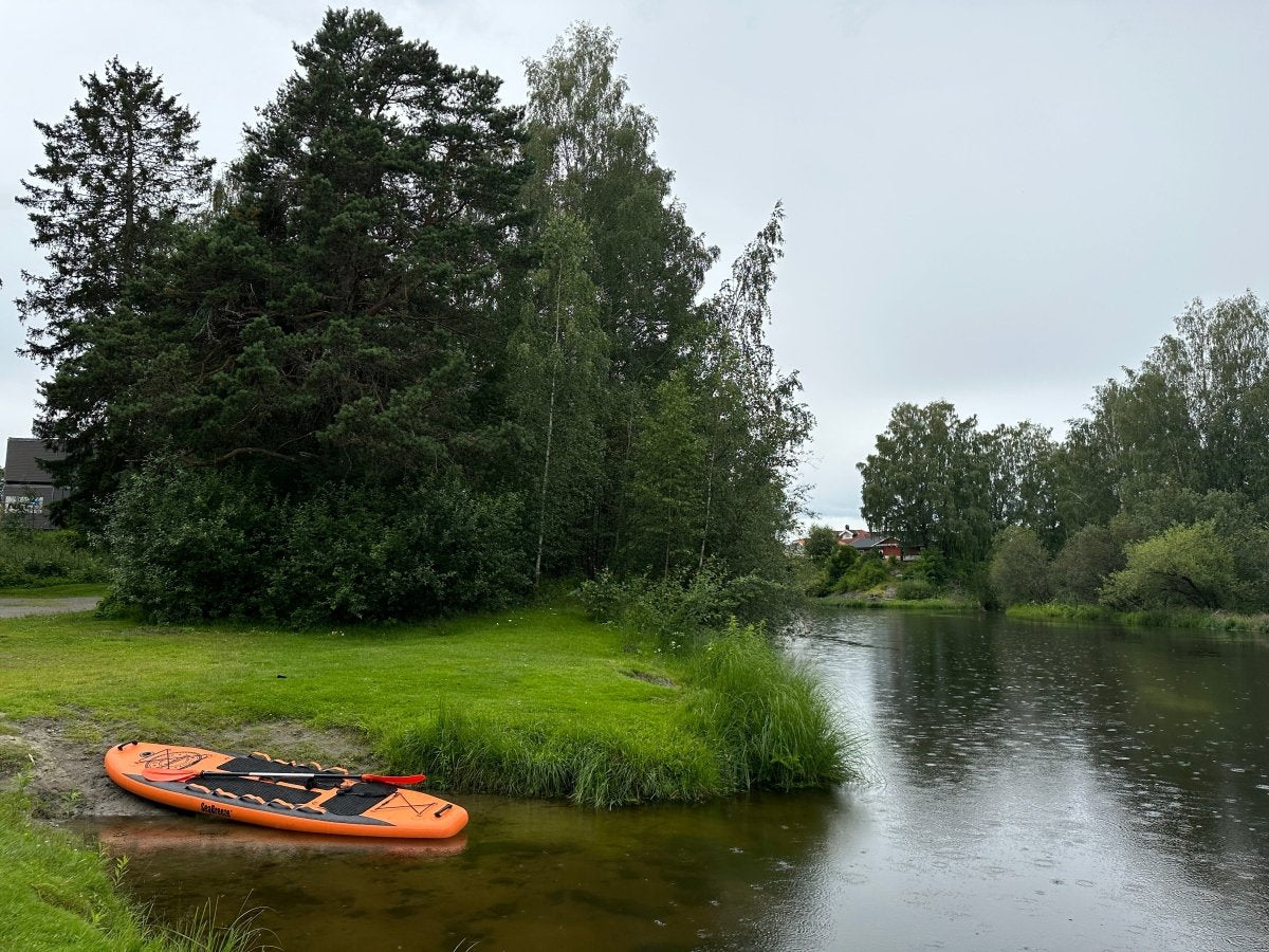 Guidet tur - Beversafari på Vestfosselva - SeaBreeze