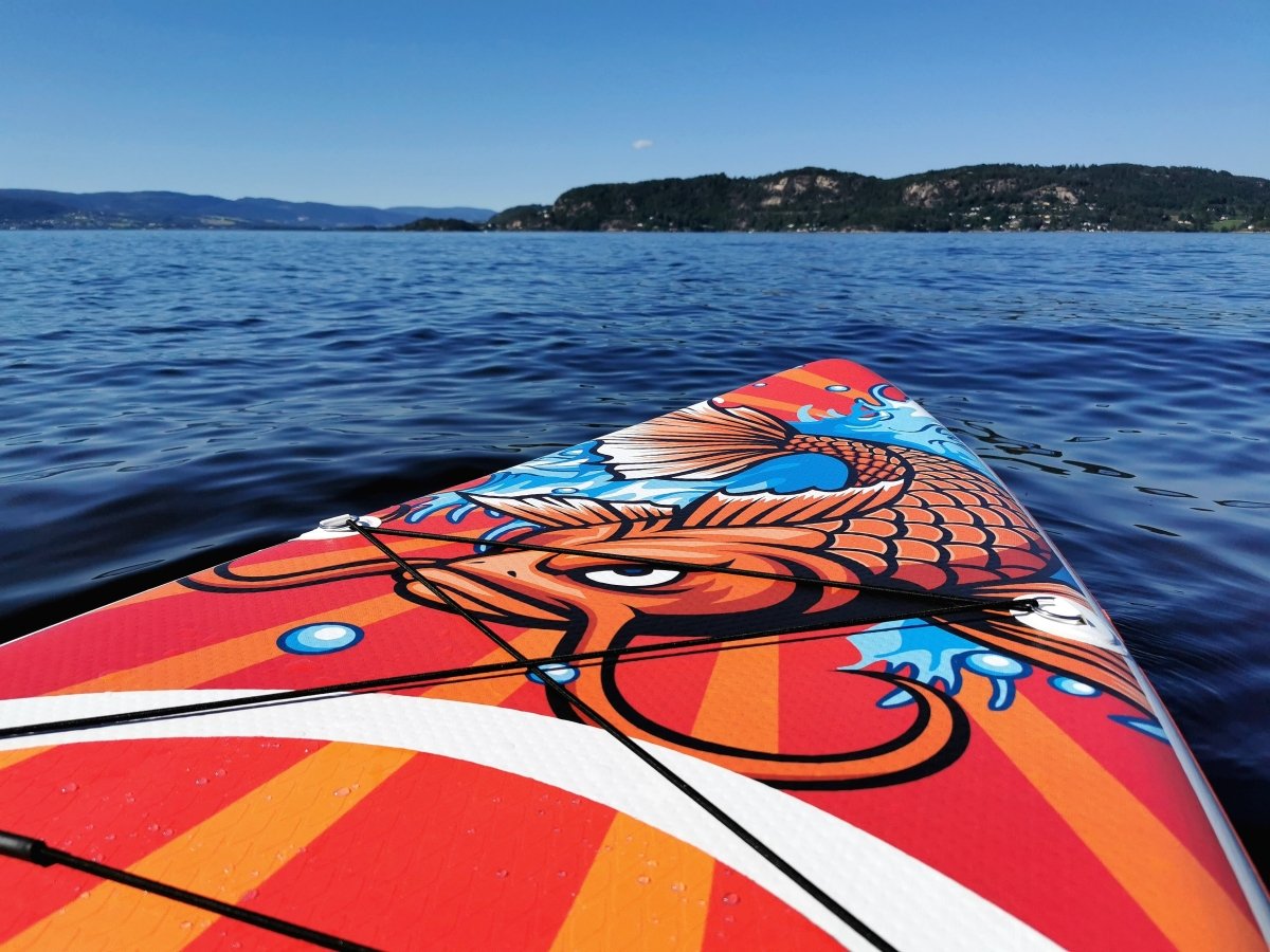 Guidet tur - SUP padletur i Horten, Løvøya - SeaBreeze