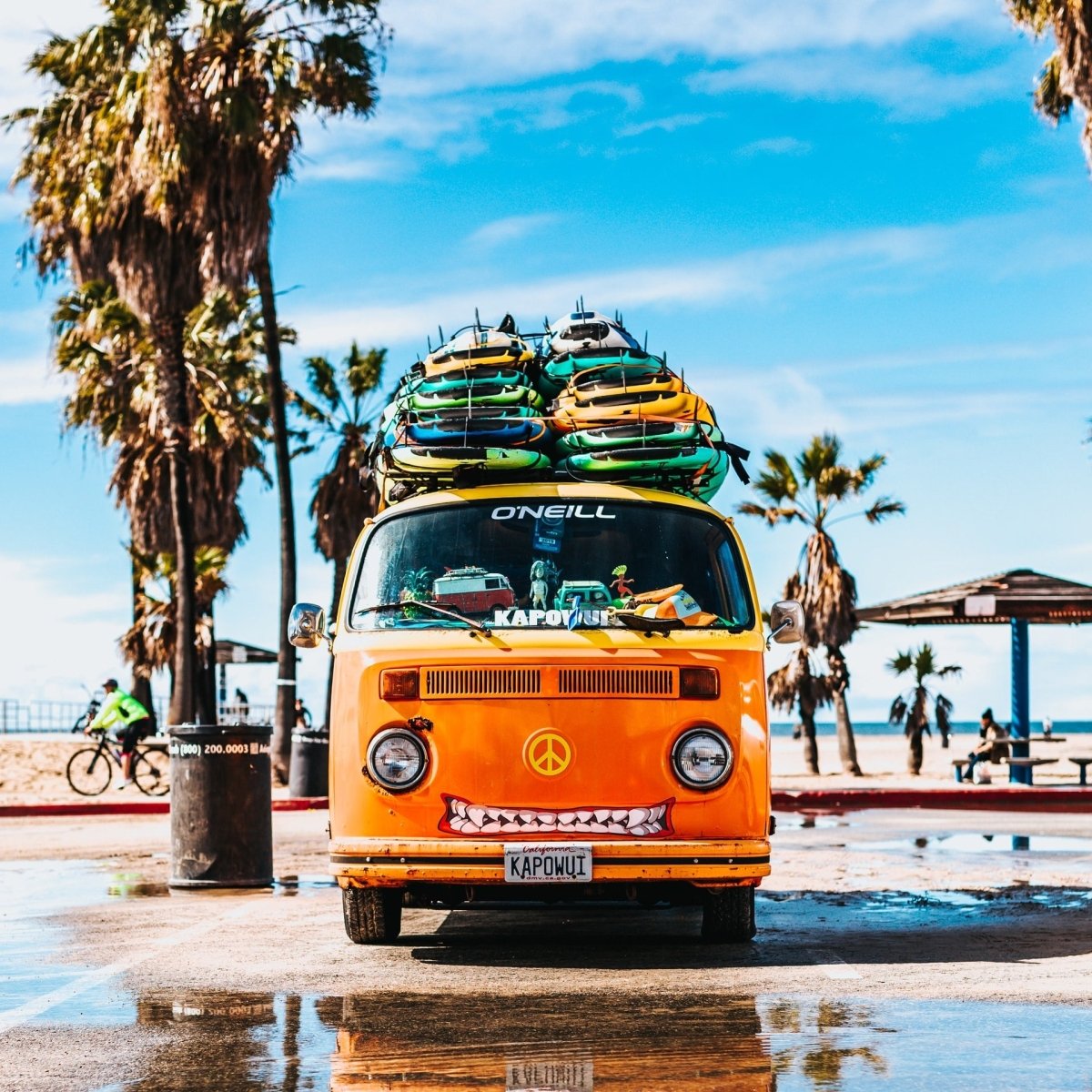 Guidet tur - Urban SUP safari Drammenselva - SeaBreeze