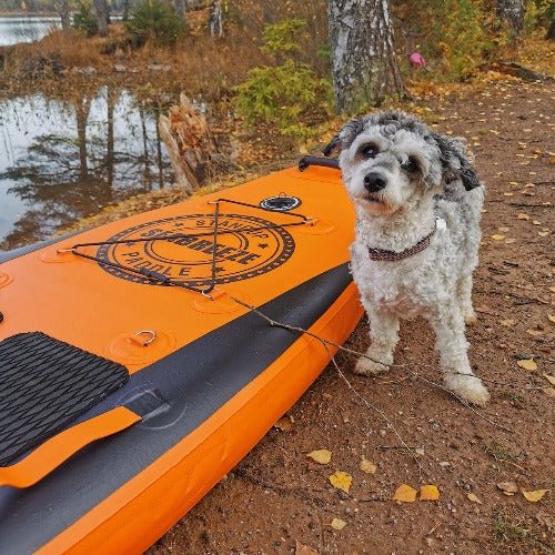 SeaBreeze Tur - SUP Oransje - SeaBreeze