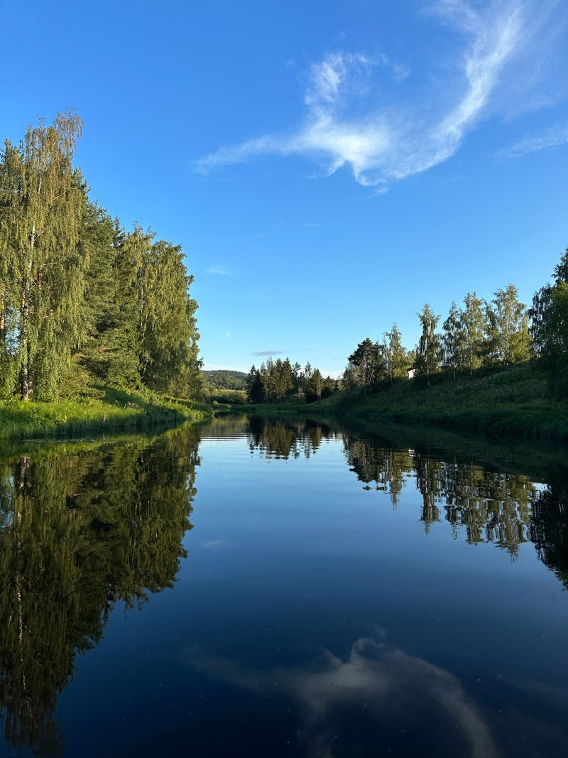 Guidet tur - Beversafari på Vestfosselva - SeaBreeze
