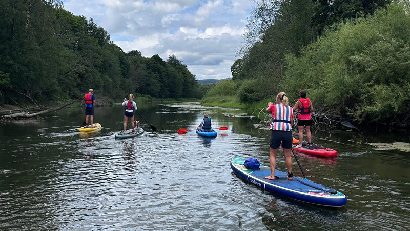 Urban SUP safari Drammenselva