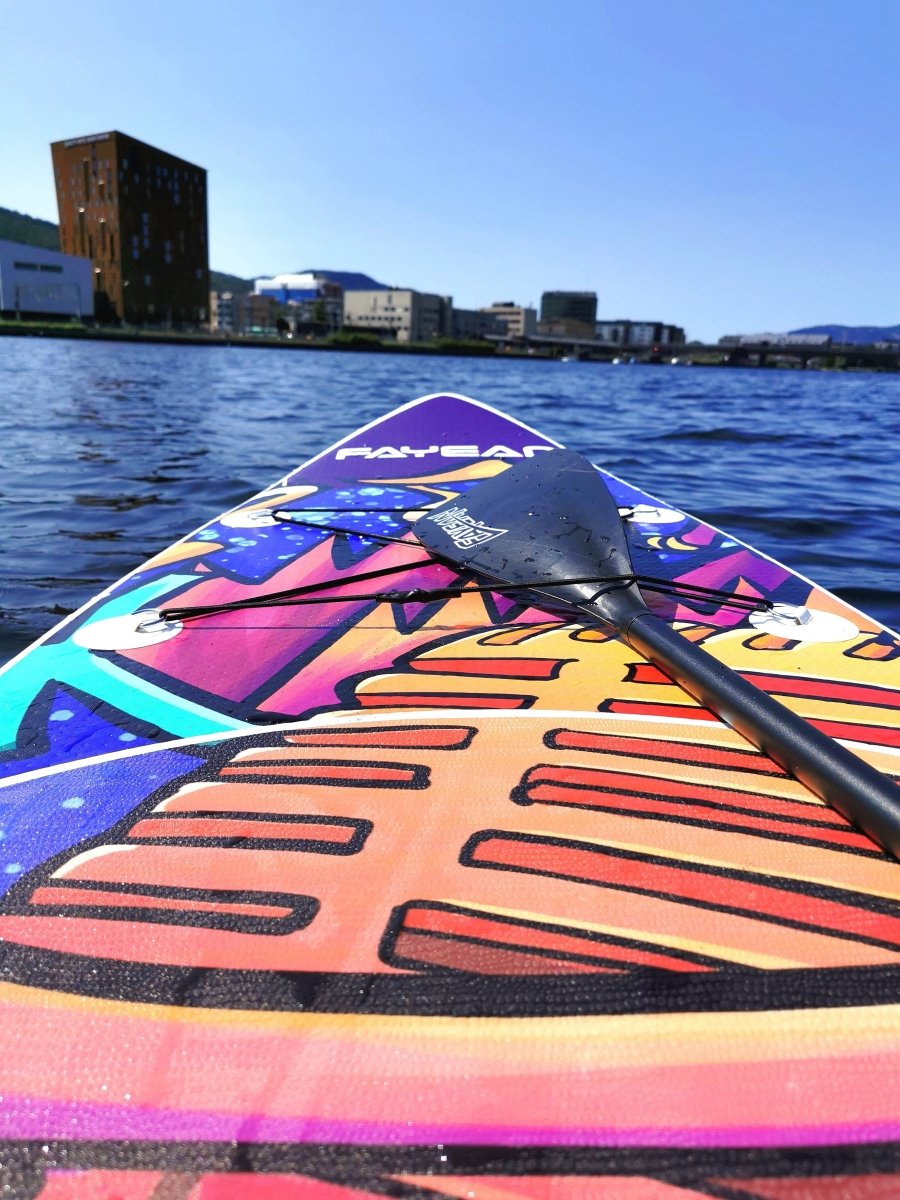 FAYEAN MIKROFON 11.5" SUP - SeaBreeze