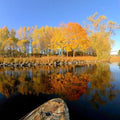 Guidet tur - Høstpadling på Drammenselva - SeaBreeze